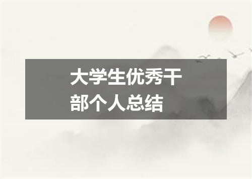 大学生优秀干部个人总结