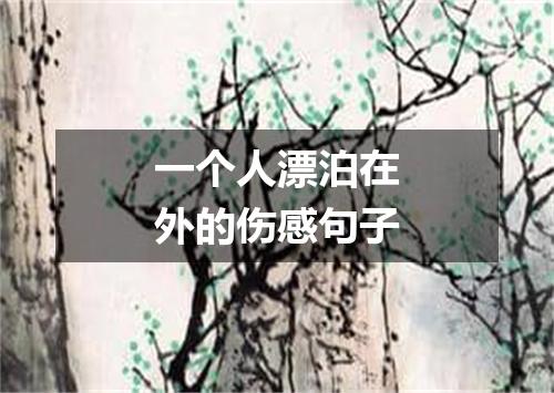 一个人漂泊在外的伤感句子