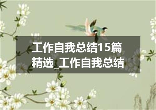 工作自我总结15篇精选_工作自我总结