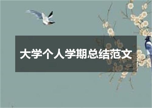 大学个人学期总结范文