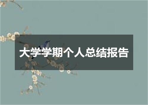 大学学期个人总结报告