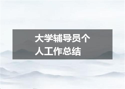 大学辅导员个人工作总结