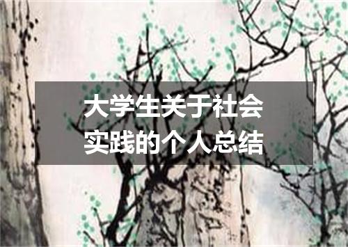 大学生关于社会实践的个人总结