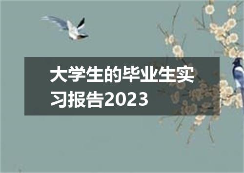 大学生的毕业生实习报告2023