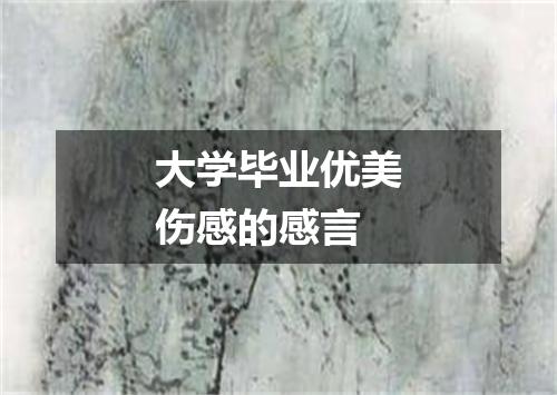 大学毕业优美伤感的感言