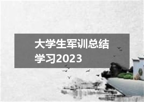 大学生军训总结学习2023
