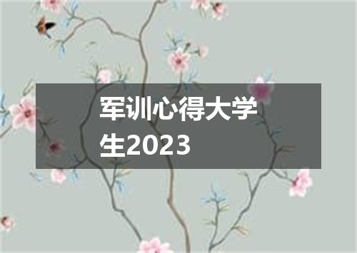 军训心得大学生2023