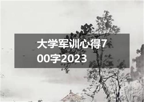 大学军训心得700字2023