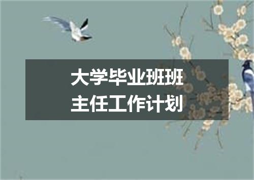 大学毕业班班主任工作计划