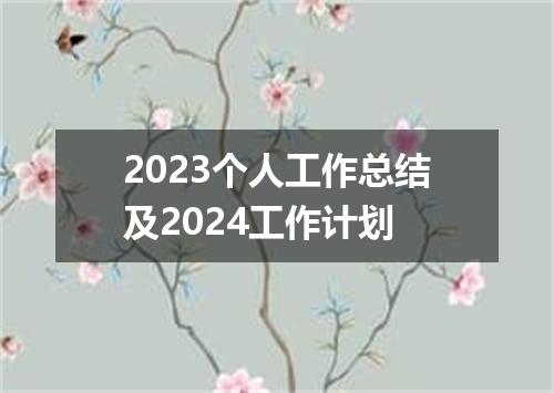 2023个人工作总结及2024工作计划