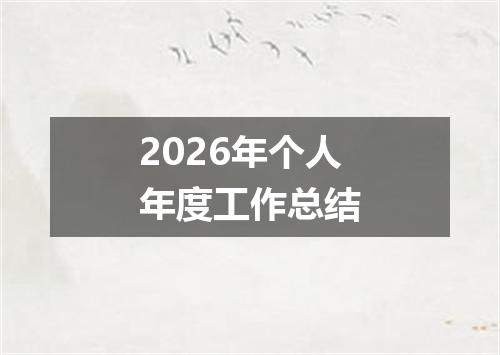 2026年个人年度工作总结