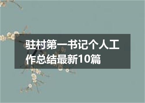 驻村第一书记个人工作总结最新10篇