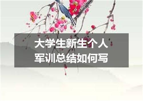 大学生新生个人军训总结如何写