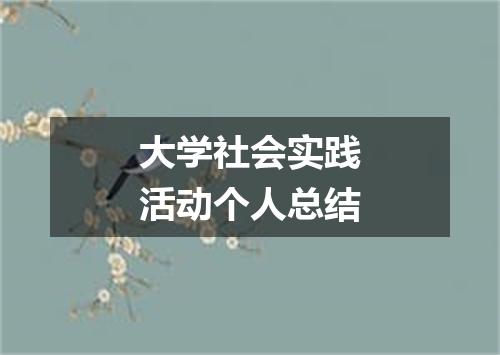 大学社会实践活动个人总结