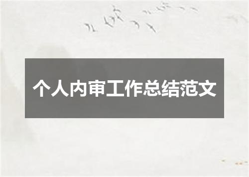 个人内审工作总结范文