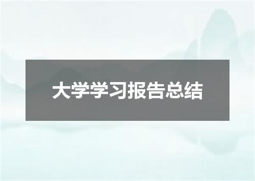 大学学习报告总结