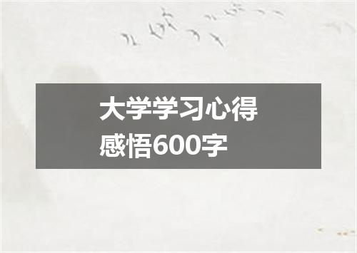 大学学习心得感悟600字