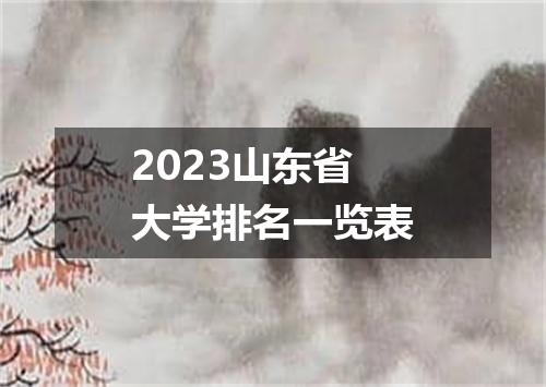 2023山东省大学排名一览表
