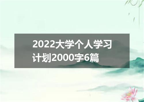 2022大学个人学习计划2000字6篇