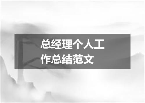 总经理个人工作总结范文