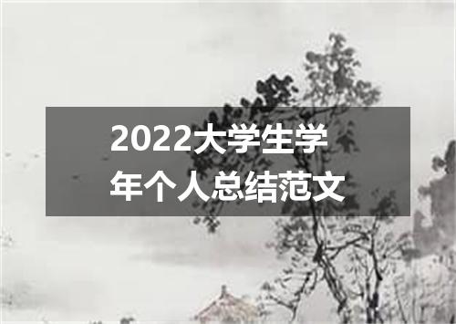 2022大学生学年个人总结范文