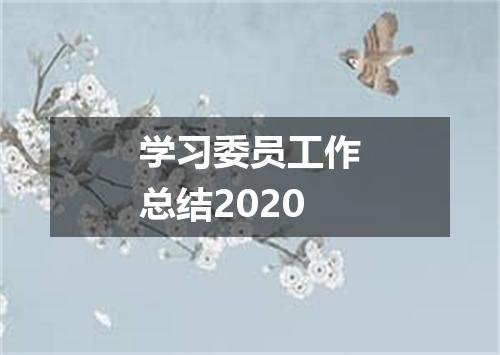 学习委员工作总结2020