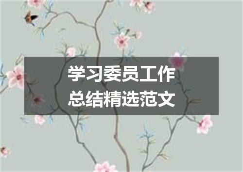 学习委员工作总结精选范文