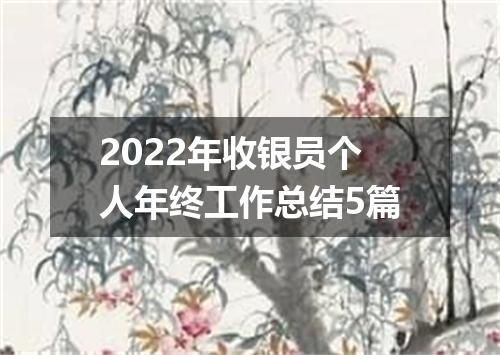 2022年收银员个人年终工作总结5篇