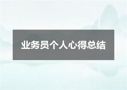 业务员个人心得总结