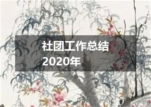 社团工作总结2020年