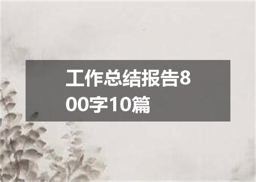工作总结报告800字10篇