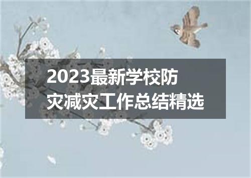 2023最新学校防灾减灾工作总结精选