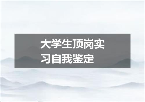 大学生顶岗实习自我鉴定