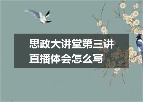 思政大讲堂第三讲直播体会怎么写