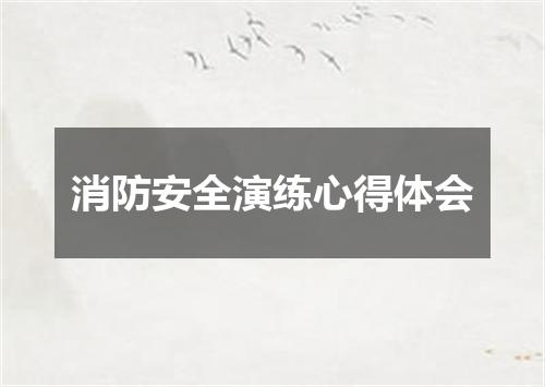 消防安全演练心得体会