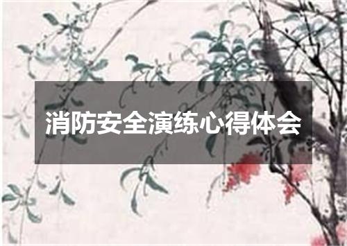 消防安全演练心得体会