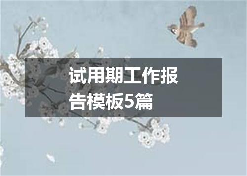 试用期工作报告模板5篇