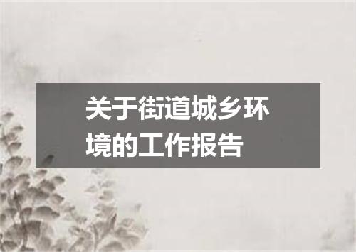 关于街道城乡环境的工作报告