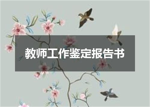 教师工作鉴定报告书