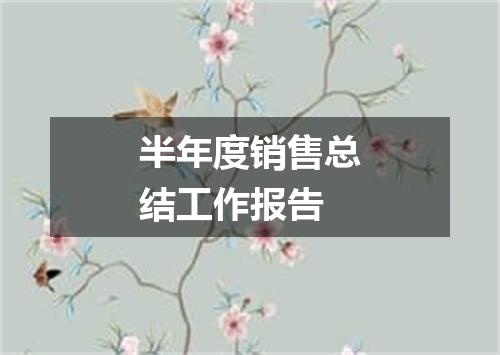 半年度销售总结工作报告