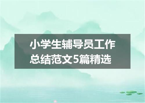 小学生辅导员工作总结范文5篇精选