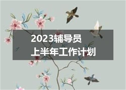 2023辅导员上半年工作计划