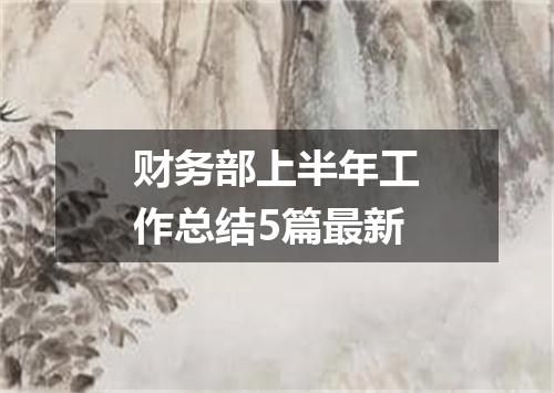 财务部上半年工作总结5篇最新