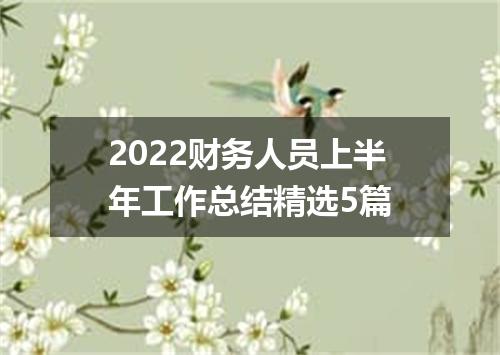 2022财务人员上半年工作总结精选5篇
