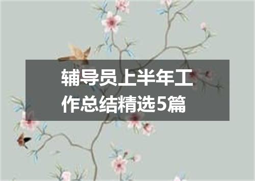 辅导员上半年工作总结精选5篇