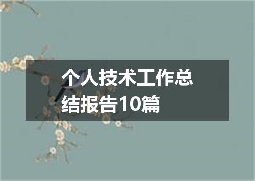 个人技术工作总结报告10篇