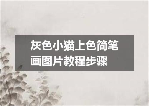 灰色小猫上色简笔画图片教程步骤