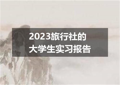2023旅行社的大学生实习报告