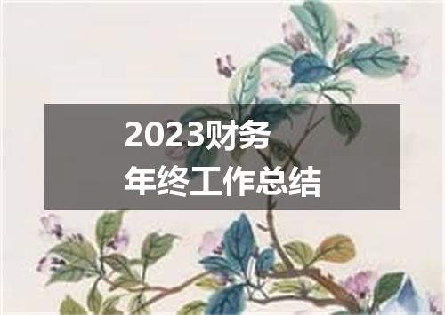 2023财务年终工作总结