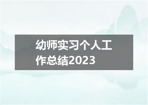 幼师实习个人工作总结2023